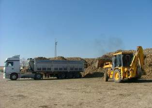 Kulu'da pancar alımı sona erdi