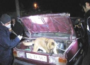 Huzur operasyonu 4 kişi gözaltına alındı