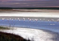 Düden Gölü iki parça