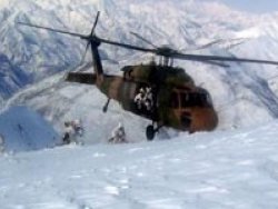 Örgütün tepesine çöktüler