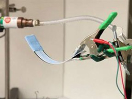 Yapay kas üretimi başlıyor