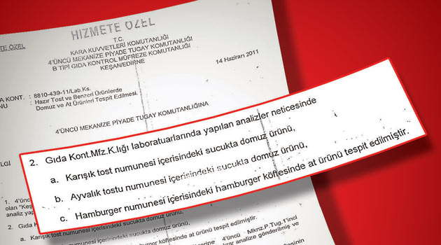 Mehmetçik'e domuz ve at eti yedirmişler