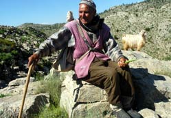 Kömür kokusu dağa çıkardı