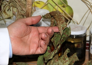 Sebze ve meyvedeki kimyasal tehlike