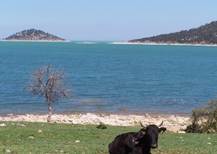 Beyşehir Gölü adaları ışıklandırılacak