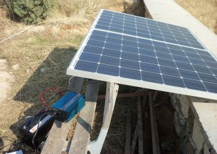 Kaymakamlıktan ''Deveci armudu'' dopingi