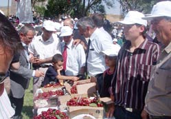Çavuş Beldesi'nde festival