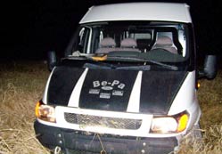 Domuz sürüsüne çarpan minibüs