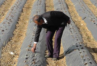 Köyde üretiliyor, Avrupa'ya gidiyor