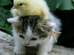 En yardımsever ülke araştırması şaşırttı