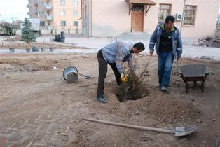 Karatay'da camilerin çevresi düzenleniyor