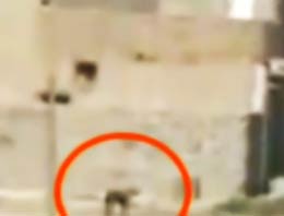 Amerikan askerlerinden vahşet