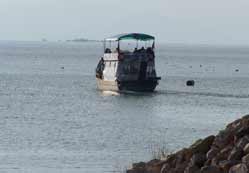 Beyşehir Gölü'nde mavi turlar azaldı