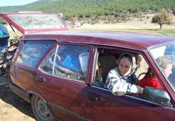 Ağaçlar otomobillerle taşınıyor