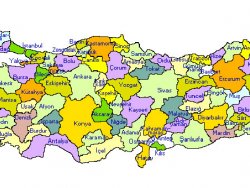 Hangi il ne kadar ihracat yaptı