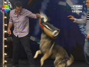 Yetenek Sizsiniz'de tehlikeli gösteri!