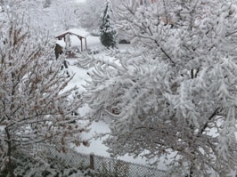 Konya 'kar'a teslim oldu