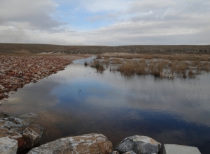 Akgöl su tutmaya başladı