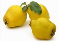 Gripten korunmak için ayva tüketin