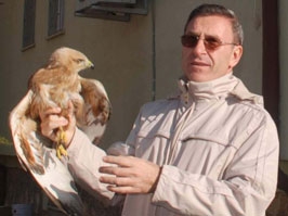 Yaralı şahine kaymakam sahip çıktı