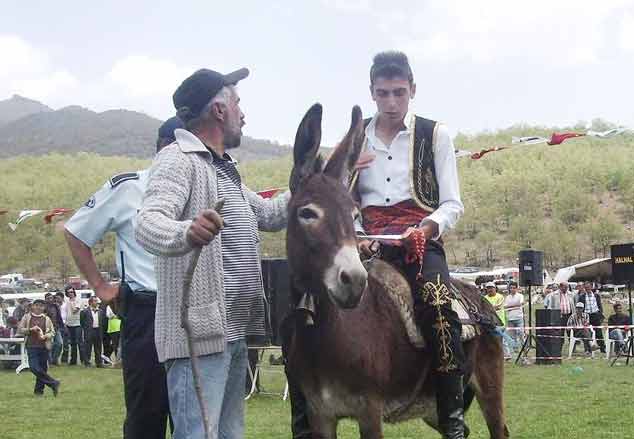 Ortakaraören İstida Şenliği yapıldı