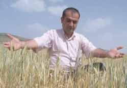 Çiftçi üründen umudunu kesti