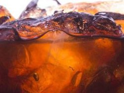 Kolanın gizli formülü değişiyor