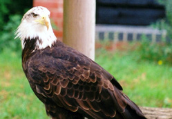 Neler oluyor hayatta