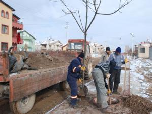 Karatay’da caddeler ağaçlandırılıyor