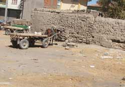 İsyan ettiren görüntüler