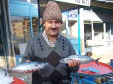 Beyşehir'de her eve bir balık