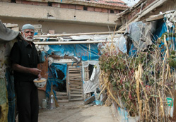 Kuş sevgisinin böylesi