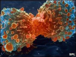 Sürekli kontrol şart!