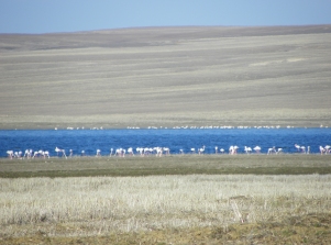 Düden Gölü'nde su sevinci