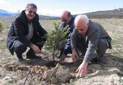 İsteyene hatıra ormanı yaparız