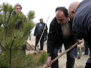 5 bin fidanı toprakla buluştu