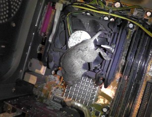 İşte bilgisayar faresi