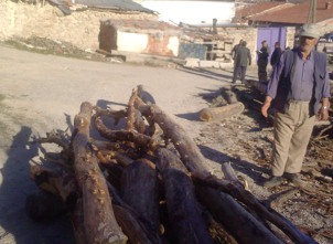 Köy yolunu ağaç gövdeleriyle kapattı