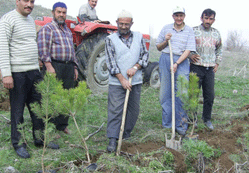 Çatören’de fidan dikimi