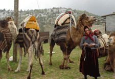 Yörükler yerleşik hayat istiyorlar