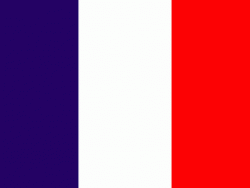 Fransa'da mescide saldırı