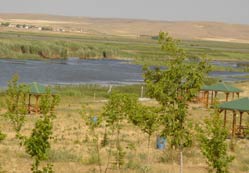 Kozanlı’da Kuş Cenneti