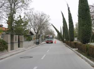 Konya'da ağaçlar kırıldı