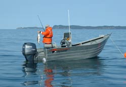 Olta balıkçılarına rast gele