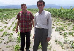 Seydişehir karpuzunu dolu vurdu