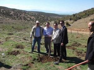 Beyşehir'de yeşil seferberliği