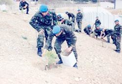 Jandarma Meke’yi ağaçlandırıyo