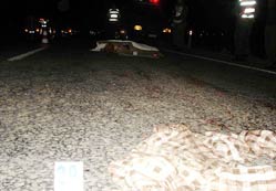 Cesedi yüzlerce parçaya ayrıldı