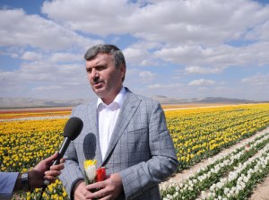 Lale, vatanına kavuştu