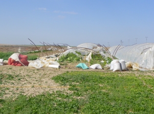 Kulu'da fırtına hasar tespiti yapıldı